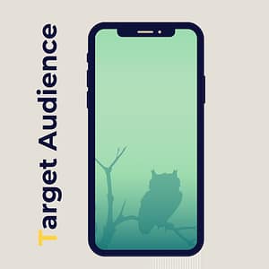 target audience, audience segmentation, customer insights, audience analysi